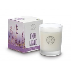 Bougie parfumée tendre lavande
