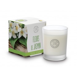 Fleurs de Jasmin